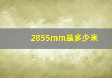 2855mm是多少米