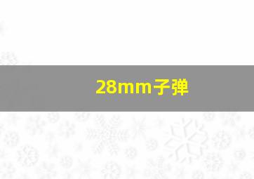 28mm子弹