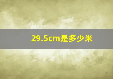 29.5cm是多少米