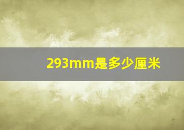 293mm是多少厘米