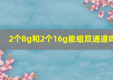 2个8g和2个16g能组双通道吗