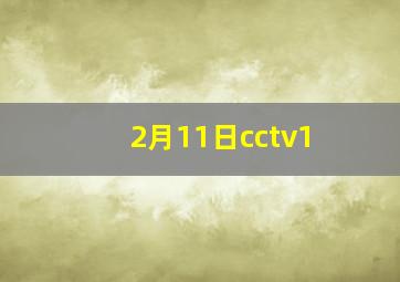 2月11日cctv1