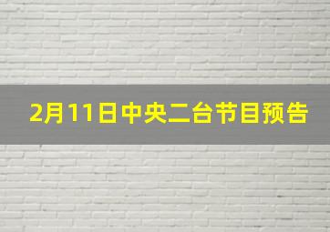 2月11日中央二台节目预告