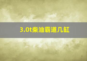 3.0t柴油霸道几缸