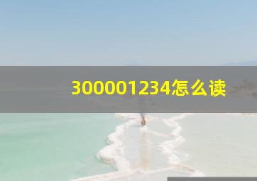 300001234怎么读