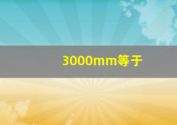 3000mm等于