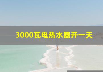 3000瓦电热水器开一天