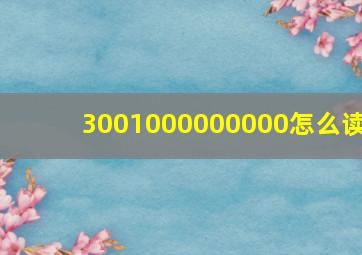 3001000000000怎么读