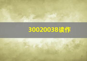 30020038读作