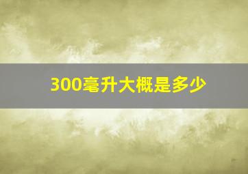 300毫升大概是多少