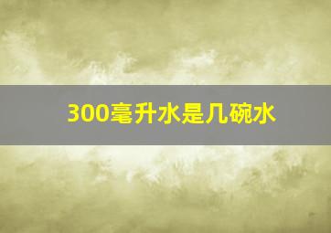 300毫升水是几碗水