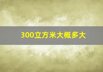 300立方米大概多大