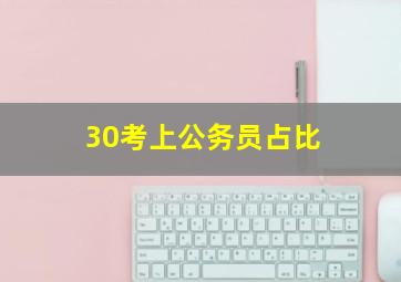 30考上公务员占比