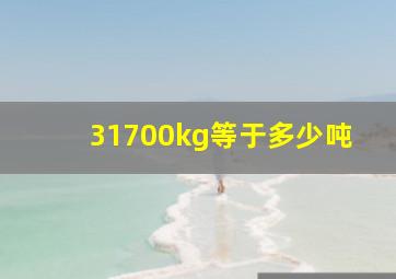 31700kg等于多少吨