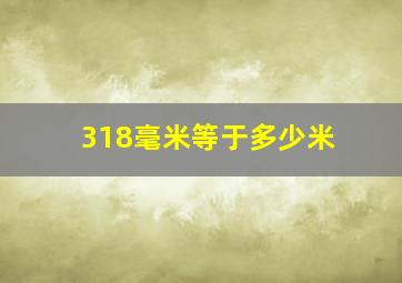 318毫米等于多少米