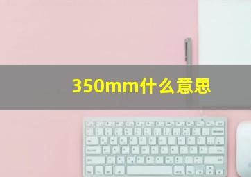 350mm什么意思