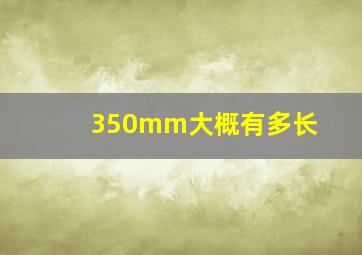 350mm大概有多长