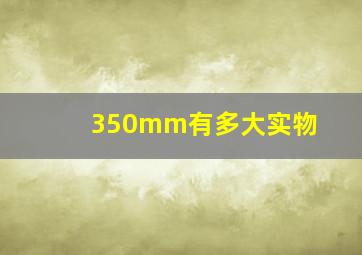 350mm有多大实物