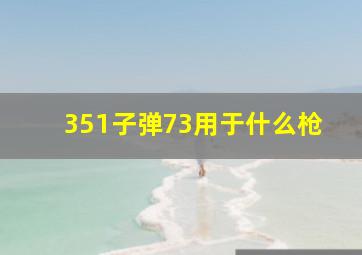 351子弹73用于什么枪