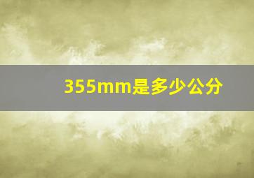 355mm是多少公分