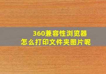 360兼容性浏览器怎么打印文件夹图片呢