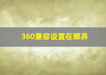 360兼容设置在哪弄