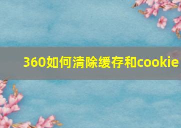 360如何清除缓存和cookie