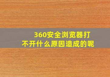 360安全浏览器打不开什么原因造成的呢