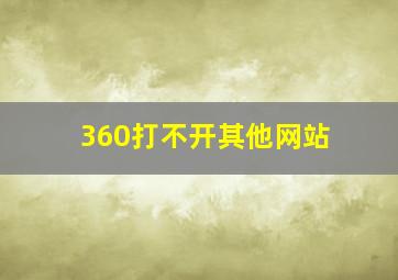 360打不开其他网站