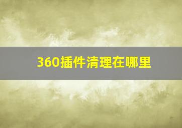 360插件清理在哪里