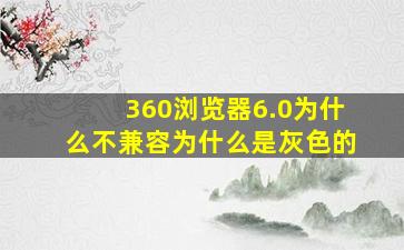 360浏览器6.0为什么不兼容为什么是灰色的