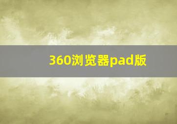 360浏览器pad版