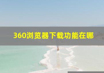 360浏览器下载功能在哪