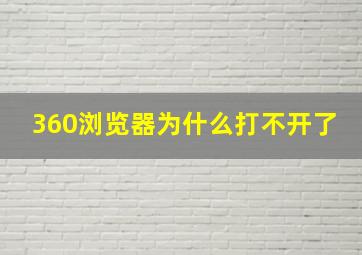 360浏览器为什么打不开了