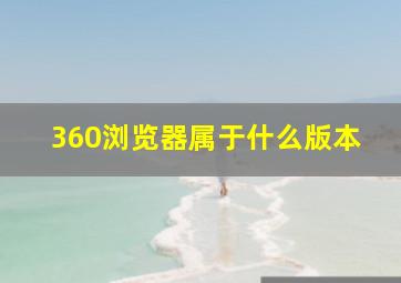 360浏览器属于什么版本