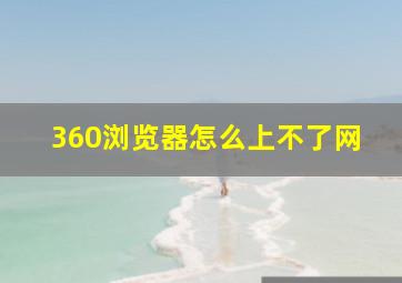 360浏览器怎么上不了网