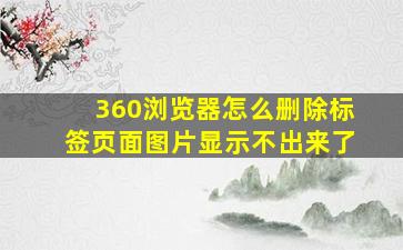 360浏览器怎么删除标签页面图片显示不出来了