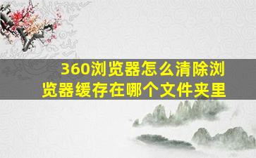 360浏览器怎么清除浏览器缓存在哪个文件夹里