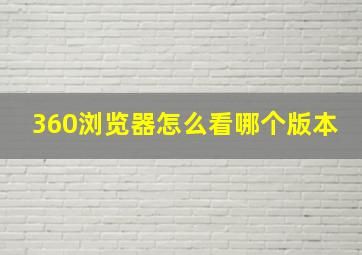 360浏览器怎么看哪个版本