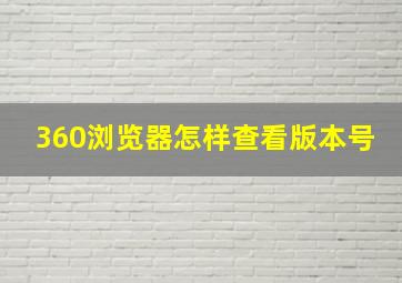 360浏览器怎样查看版本号