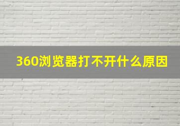 360浏览器打不开什么原因