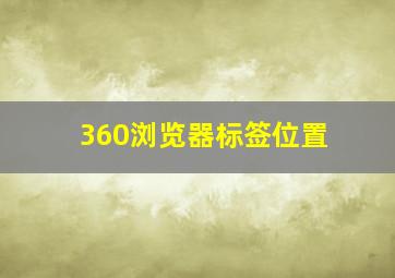 360浏览器标签位置