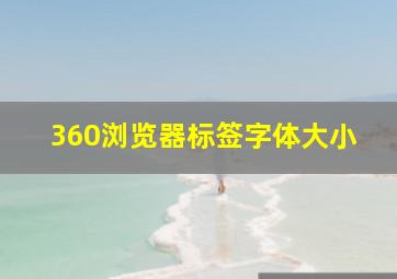 360浏览器标签字体大小