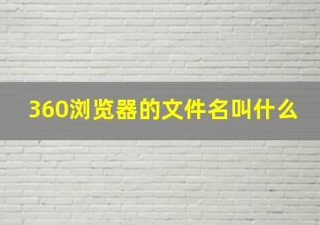 360浏览器的文件名叫什么