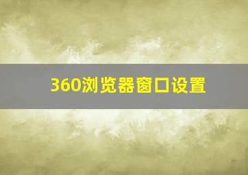 360浏览器窗口设置