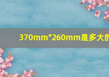 370mm*260mm是多大的纸