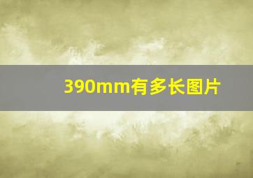 390mm有多长图片