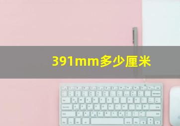 391mm多少厘米