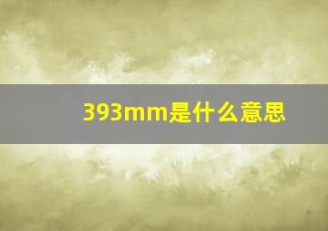 393mm是什么意思