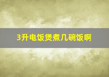 3升电饭煲煮几碗饭啊